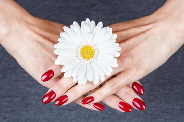 Beauty hands with red fashion manicure and bright flower. Beautiful manicured red polish on nails.