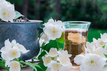 Obraz na płótnie Canvas Jasmine tea with jasmine flowers