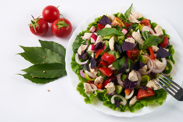 Fresh summer salad with chicken meat isolated on white background.