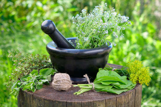 Bunches of healing herbs, mortar and pestle on stump outside. Herbal medicine.