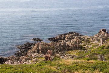 Wild rocky coast on western Sweden