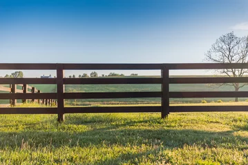 Poster Im Rahmen Horse Fence Across Field © kellyvandellen