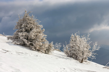 Majestic evening winter landscape in the mountains
