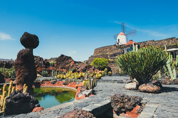 Windmill in tropical cactus garden in Guatiza village, popular attraction in Lanzarote, Canary...