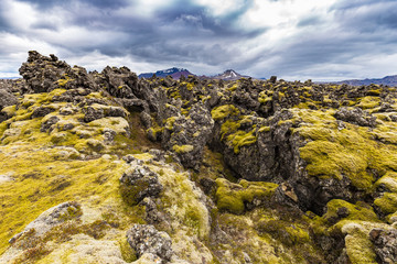 Berserkjahraun lava field in Snaefellsnes peninsula, Iceland