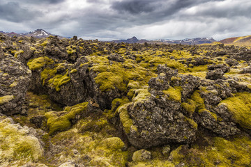 Berserkjahraun lava field in Snaefellsnes peninsula, Iceland