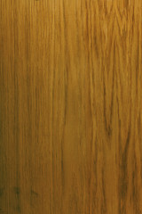 Wood oak texture