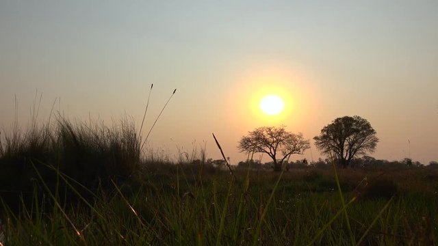 Sunset in the Okavango Delta (Botswana) as 4k footage