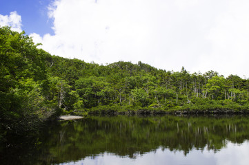 夏山の風景