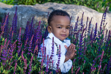 boy in lilac filed, flower garden