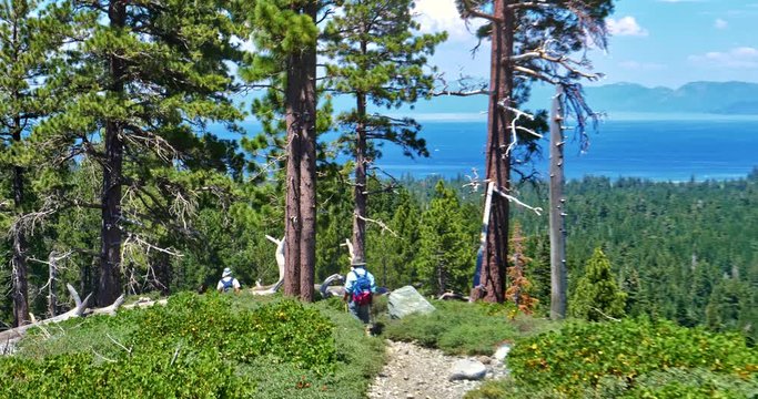 Views from Mount Tallac trail,  July 2017