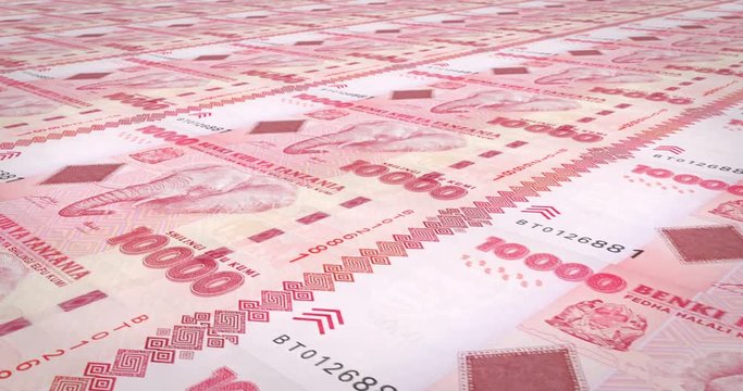 Banknotes of ten thousand Tanzanian shilling of Tanzania, cash money, loop