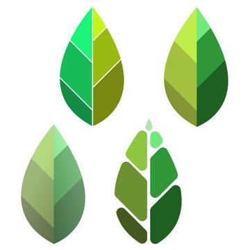 Leaf Icon