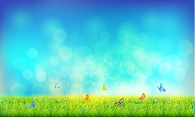 Fototapeta premium 11.lawn and sky