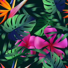 Fototapeta na wymiar Tropical flowers, jungle leaves.