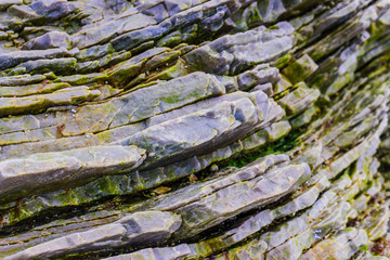 The texture of rocks with algae on the beach Ardara. County Donegal. Ireland