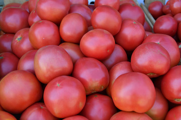 Ripe tomatoes are sold at the Bazaar