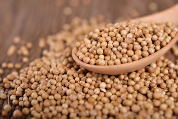 dry coriander seeds on wooden spoon and on wooden background