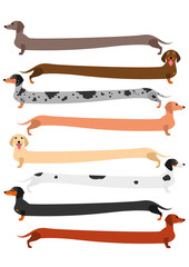 very long colorful Dachshund set