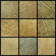 collection of african elephant leather