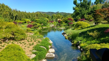 Fototapeta na wymiar Jardin Japonais