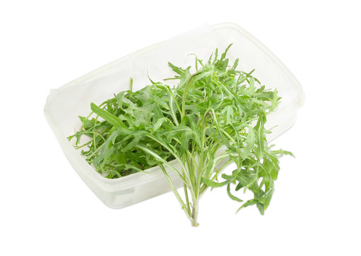 Arugula in the plastic container and one stem beside