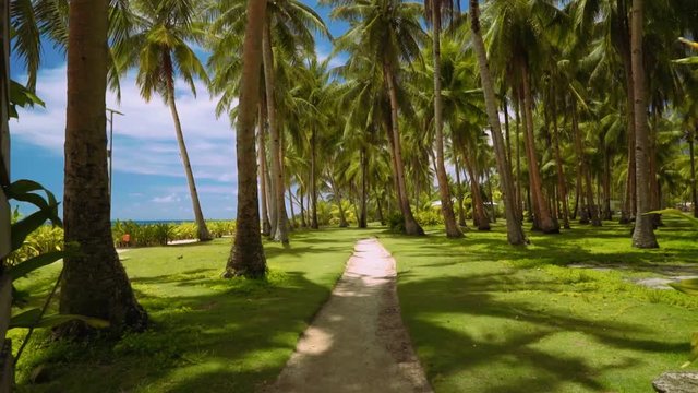 Camera moving through rustic gates to park with palm trees on lawn grass, Philippines