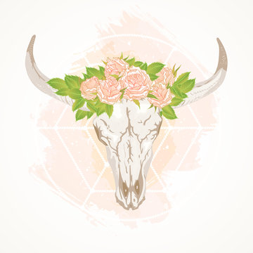 Vector illustration with a wild buffalo skull and roses, in the boho style.