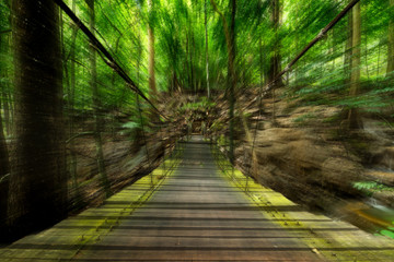 Fototapeta na wymiar Motion image on the Suspension bridge in the forest.