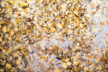 Mashing in a Stainless Kettle a Home Brew Cream Ale  with Crushed Barley and Corn