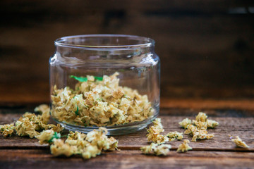 green tea with jasmine in cup and teapot on wooden table on green background