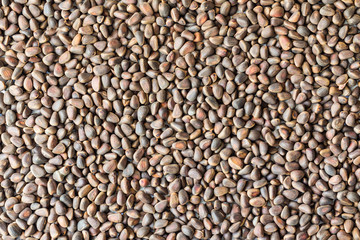 Pine nuts