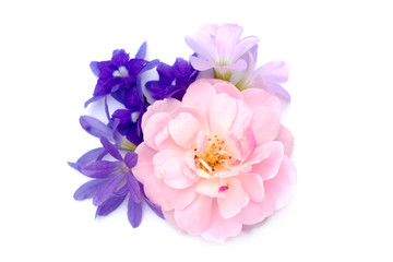 The bouquet of pink fairy rose,  Queen's wreath flower and Oxalis flower.