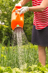 Fototapeta premium single woman watering garden standing, sun light behind