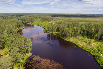 Aerial view of river among the forest. Summer nature landscape.