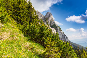 Fototapeta na wymiar Mountain scenery in the Transylvanian Alps, on a bright summer day with blue skies and limestome cliffs