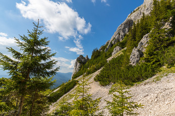 Fototapeta na wymiar Mountain scenery in the Transylvanian Alps, on a bright summer day with blue skies and limestome cliffs