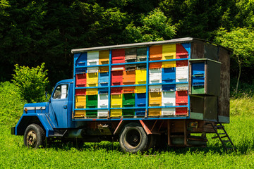 Colorfull and vibrant bee hives on old truck in Slovenia