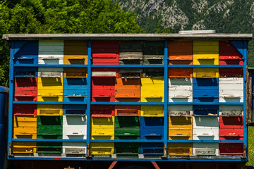 Colorfull and vibrant bee hives on old truck in Slovenia