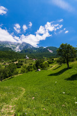 Fototapeta na wymiar Summertime in Slovenia countryside in Alps