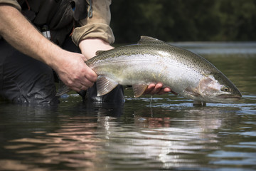 fly fishing trout new zealand river lake scene stunning scenery
