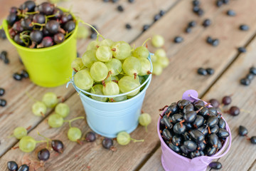Gooseberry and blackcurrant in buckets. It can be used as a background