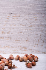 Hazelnuts on white wooden background in studio photo