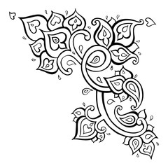 Paisley Ethnic ornament.
