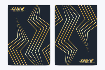 Vector template for brochure, Leaflet, flyer, advert, cover, catalog, poster, magazine or annual report. Geometric background molecule. Golden cybernetic dots communication.Lines plexus. Card surface