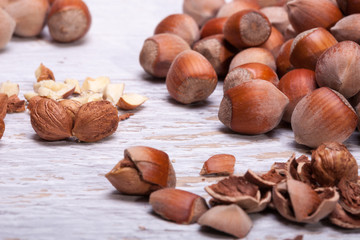 Hazelnuts on white wooden background in studio photo