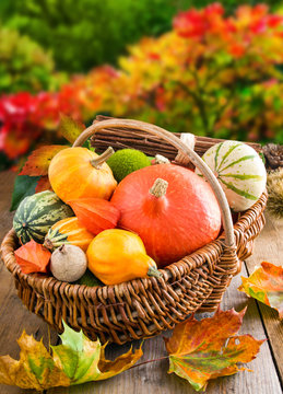 Herbst -  Dekoration
