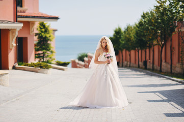 image of incredibly beautiful bride, the fair-haired girl in a white dress and a veil