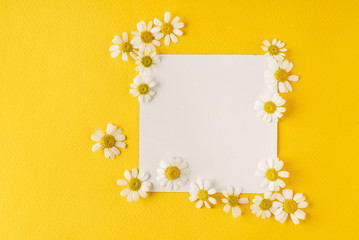 daisy flowers on the paper card