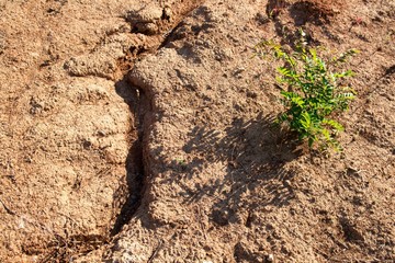 Climate change and unattended wasteland